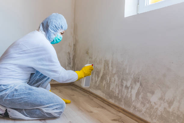 Licensed Commercial Mold Remediation service in Waverly, MI - WQB Mold Removal