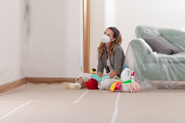 Reliable Commercial Mold Remediation contractor in Waverly, MI by WQB Mold Removal